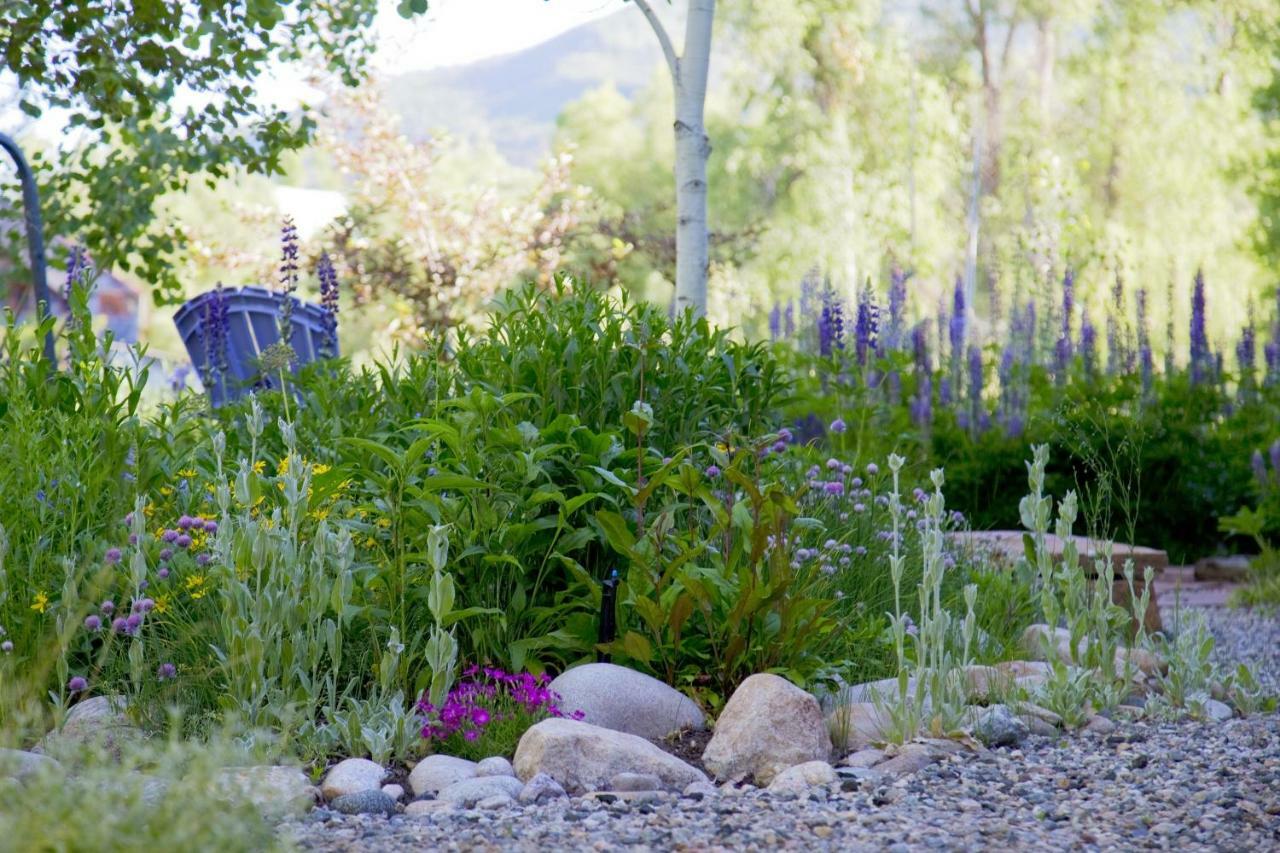 Mariposa Lodge Bed And Breakfast Steamboat Springs Extérieur photo